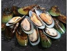 GREEN MUSSEL,BLUE MUSSEL ,MUSSEL MEAT