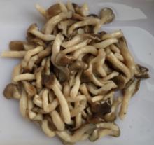 shimeji Mushrooms