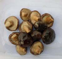  Shiitake   mushroom  in  brine 