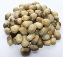 straw mushroom in brine