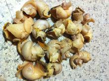 Whelk Meat