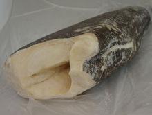  Frozen   Sea  Bass Fish /  frozen   Sea   Bream  Fillets
