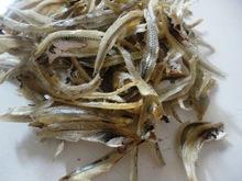 Fresh  Anchovy /  Frozen   Anchovy  For Sale