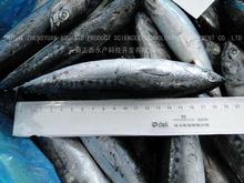FIRST CLASS FROZEN AND FRESH BONITO