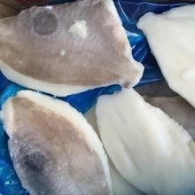 FROZEN and FRESH JOHN DORY FISH / FILLET
