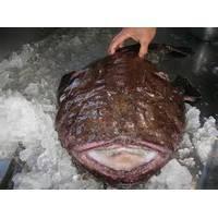 Frozen  Whole   Round   Scad  Fish / Fresh and Frozen Monkfish  Whole 