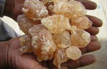 Arabic Gum for sale
