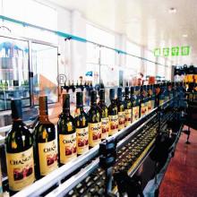 Wine filling machine