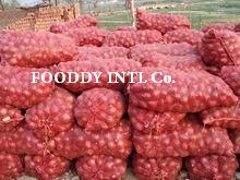 Onion