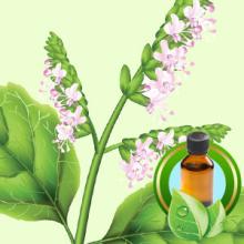 100% Pure Patchouli Essential Oil