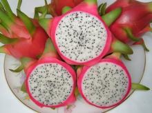 Frozen dragon fruit whole