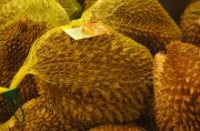 Frozen durian whole