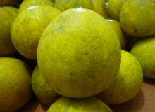 Frozen pomelo whole