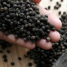  BULK  BLACK PEPPER SEEDS / BLACK PEPPER POWDER