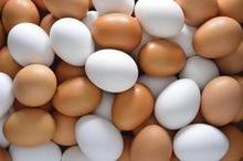 Fresh Poultry Farm Table Eggs Available
