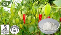 Red Pepper  Extract :  Capsaicin  60%, 95%, 97%, 99%; 10: 1; 20: 1
