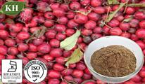 Kingherbs' 100% Natural Hawthorn Extract: 10: 1 15: 1 20: 1; Vitexin 1.8%, 2% by HPLC; Flavonoids 5%