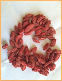 Dried Goji Berry From china NingXia