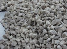  IQF   Oyster  mushroom