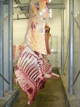 halal fresh frozen lamb meat