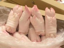Frozen Pig Head Meat , Ears And Pork Feet