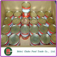 Tomato paste/tomato paste factory