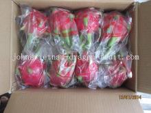 FRESH DRAGON FRUIT