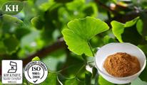 Kingherbs' 100% Natural  Ginkgo   Biloba   Extract  (CAS No.: 90045-36-6)