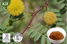 Kingherbs' 100% Natural Acacia Catechu Extract: 6: 1; 40%  Catechins  (catechin, epicatechin)