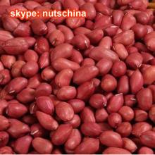  red  skin peanut kernels 60/70
