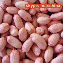 peanut kernels luhua type