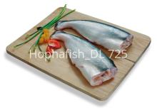  Pangasius  Headless and Gutted