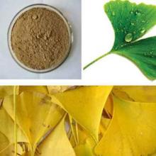 100% Natural ISO Certificate Ginkgo Ginkgetin