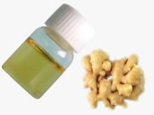 Top Quality Natural Ginger Oil /Ginger Oleoresin