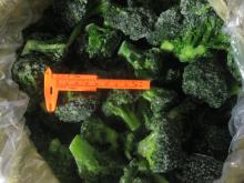  frozen   broccoli   florets 