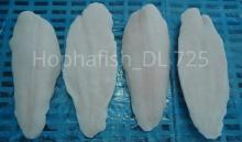 Frozen Pangasius Fillet