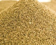  Celery  Seed