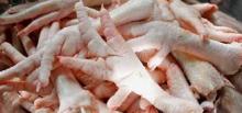Grade A Frozen Chicken Feet, Paws, Breast, Whole Chicken, Legs and Wings