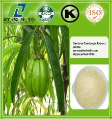 garcinia  cambogia   extract 