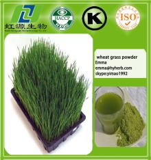 organic wheat grass powder