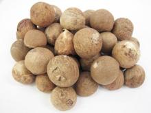  Whole   Betel   Nut 