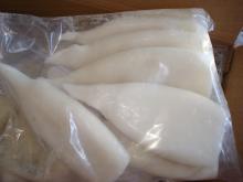 Frozen squid tube