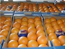 Fresh Tangerines, Oranges, Limes, Lemons