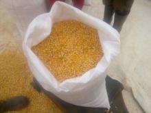 White and Yellow Corn/Maize