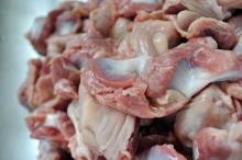 Super Quality and Grade A Frozen Chicken Parts ; Gizzards,Wings etc
