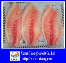 Frozen skinness boness  Co   treated  black tilapia fillet