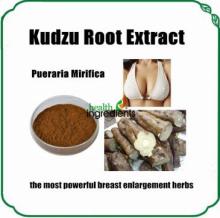  Kudzu  Root Extract  Puerarin 