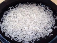 Long Grain White Vietnamese  Rice  Long Gran Indian  Basmati   Rice 