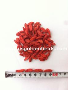 Nature Organic Goji Berries Red Wolfberry Chinese Goji Lycium  Barbarum  Factory Directly Sale!