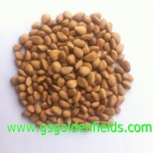 100% Organic Pine Nuts Nature Wild Pine Nuts Kernels With Shell